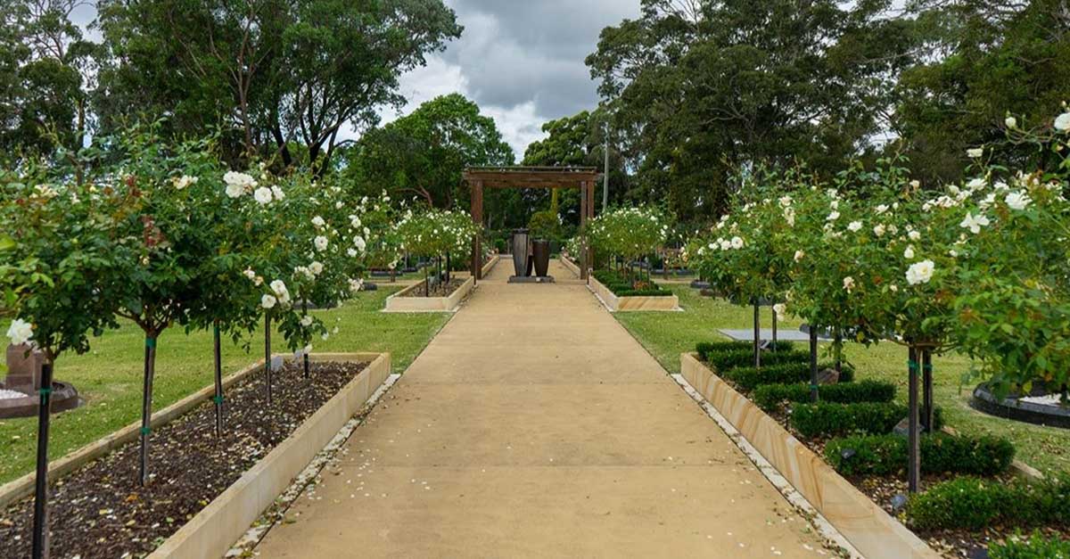 are dogs allowed in rookwood cemetery